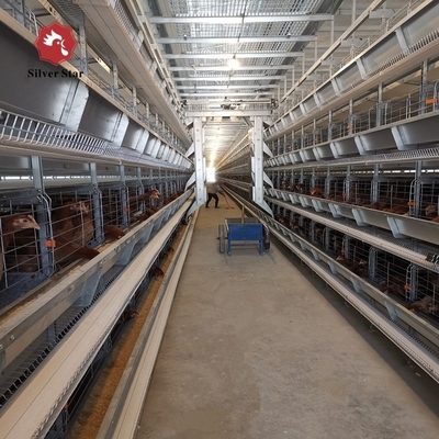 Hot Galvanized Automatic H Type Chicken  Layer Cage Broiler Poultry Cage Space-Saving Design