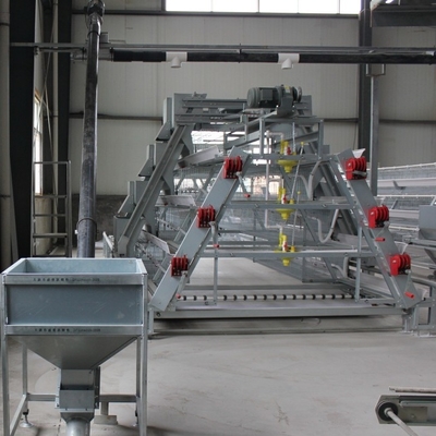 Automatic Hot Galvanized Chicken Cages For Egg Layers Battery Cage Farming Equipment And Egg Collection Disin