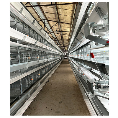 Hot Galvanized Poultry Farming Equipment Automated Layer Chicken Broiler Chicken Farming Cage