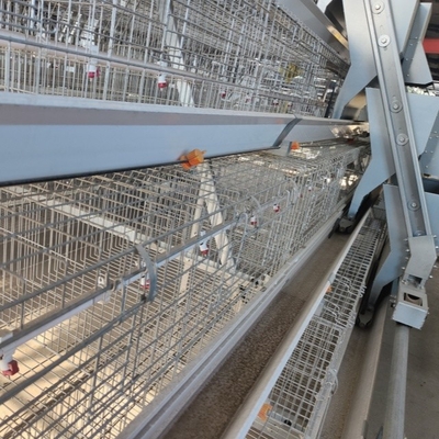 2024 H Type 4-tier Hot Dip Galvanized Automatic Layer Chicken Cage In Poultry Equipment