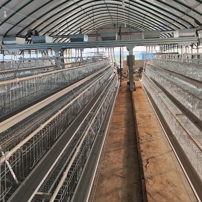 Hot Galvanized Poultry Farming Equipment Automated Layer Chicken Broiler Chicken Farming Cage