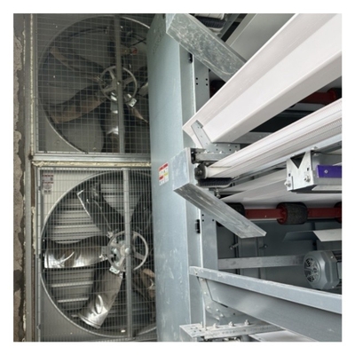 Hot Galvanized Poultry Farming Equipment Automated Layer Chicken Broiler Chicken Farming Cage
