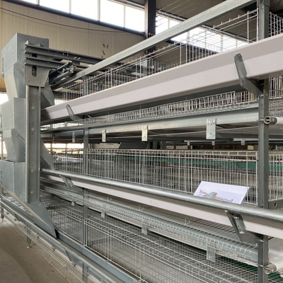 Hot Galvanized Poultry Farming Equipment Automated Layer Chicken Broiler Chicken Farming Cage