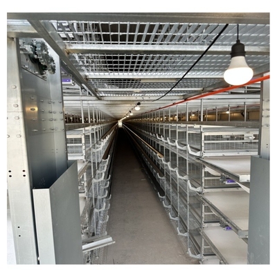 100,000 Birds H Type 8-Tier Layer Chicken Cage For Egg Hens Project Fully Automatic Layer Cage