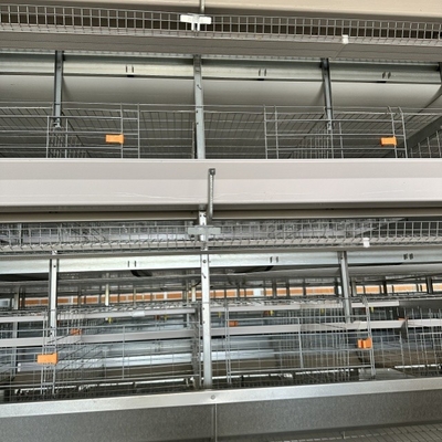 100,000 Birds H Type 8-Tier Layer Chicken Cage For Egg Hens Project Fully Automatic Layer Cage