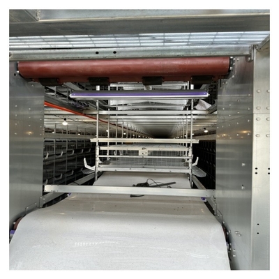 Hot Galvanized Automatic H Type Chicken  Layer Cage Broiler Poultry Cage Space-Saving Design