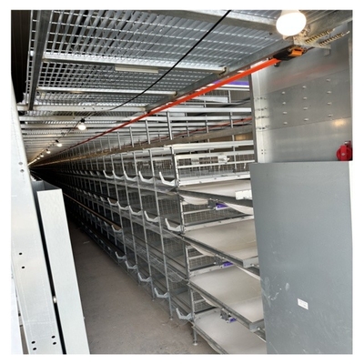 100,000 Birds H Type 8-Tier Layer Chicken Cage For Egg Hens Project Fully Automatic Layer Cage
