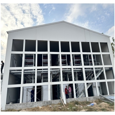 H Type 3-tier / 4-tier Hot Dip Galvanized Automatic Layer Chicken Cage In Poultry Farm Equipment