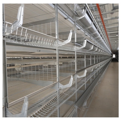 100,000 Birds H Type 8-Tier Layer Chicken Cage For Egg Hens Project Fully Automatic Layer Cage