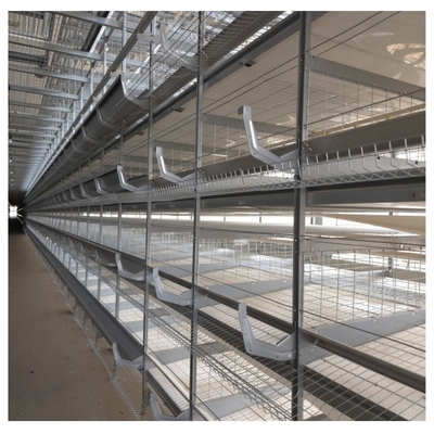 2024 H Type 4-tier Hot Dip Galvanized Automatic Layer Chicken Cage In Poultry Equipment