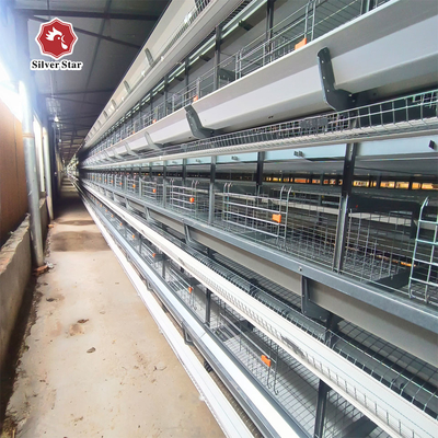 Hot Dipped Galvanized H Type Egg Layer Chicken Cage