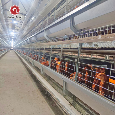 H Type Layer Chicken Laying Cage Automatic Poultry Equipment Hens Battery Cage For Layer Chicken