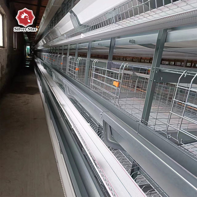 Hot-Dip Galvanized High-Efficiency 4-8 Tier Automatic Layer Cage - Hot Galvanized & Auto Egg Conveyor
