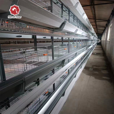 H Type Layer Chicken Laying Cage Automatic Poultry Equipment Hens Battery Cage For Layer Chicken