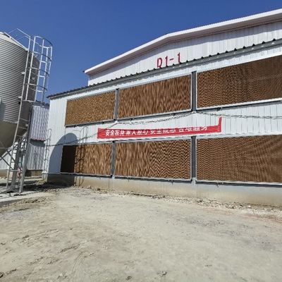 Hot-Dip Galvanized Battery Chicken Cage Fully Automated IoT-Controlled with Medical-Grade Disease Prevention for Poultry Farming Equipment