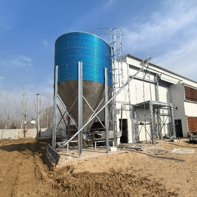 4-Tier Fully Automated Layer Housing System with Galvanized Frame & Auto Collection