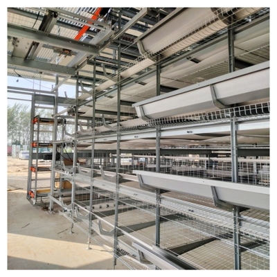 Durable & Labor-Saving: H-Type Fully Automatic Layer Cages for Modern Farms