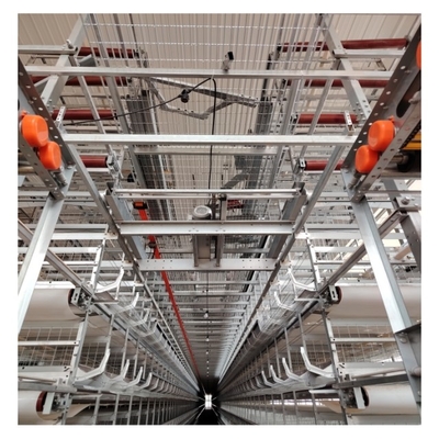Hot Galvanized Automatic H Type Chicken  Layer Cage Broiler Poultry Cage Space-Saving Design