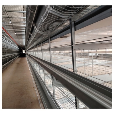 H Type Layer Chicken Laying Cage Automatic Poultry Equipment Hens Battery Cage For Layer Chicken