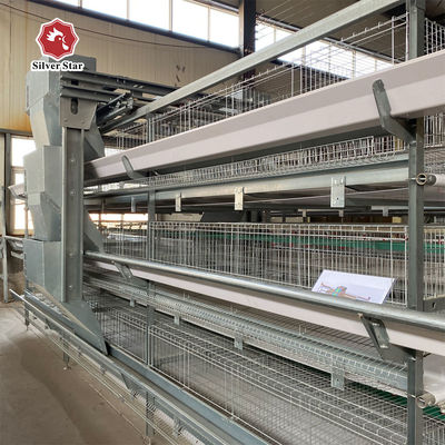 Hot Dip Galvanized Steel High Capacity Poultry Automatic Feeding & Drinking System for Layer Chicken Cage