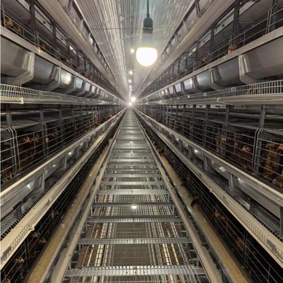 Layer Chicken Cage The Perfect Solution for Raising Layers in Your Poultry Farm