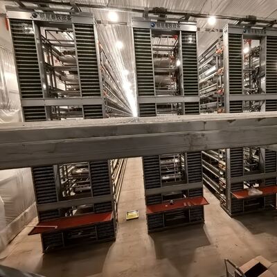 Full Automatic 72 Birds H-Type Poultry Layer Cage Hot-Dip Galvanized Steel Battery Chicken Cage