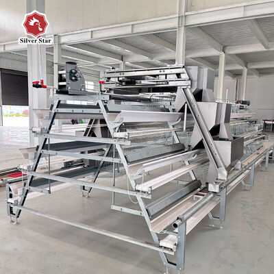 Hot-Dip Galvanized A-Type Broiler Battery Cage System with Automatic Manure Removal for 3-5 Broiler Chickens per Cage