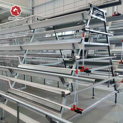A-Type Layer Chicken Cage with Hot Dip Galvanized Steel and Automatic Feeding for 3 or 4 Tier Poultry Equipment