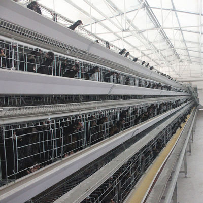 Battery Cage System For Laying Hens With Hot-dip Galvanization