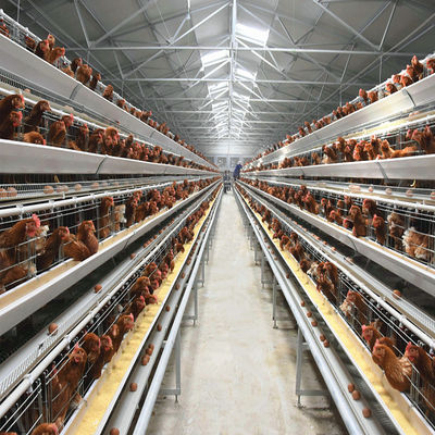 Battery Cage System For Laying Hens With Hot-dip Galvanization