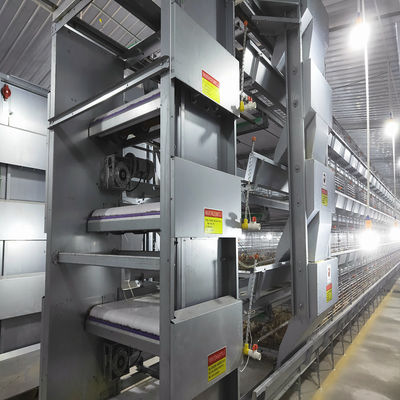 Hot-dip Galvanized Steel H Type Broiler Chicken Cage with Modular Automatic System and Adjustable Breeding Tiers