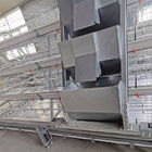Hot Galvanized Wire 4 Layers Baby Chick Cage 240 Birds/Set SGS Approval