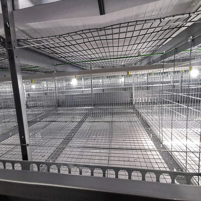 Poultry Equipment Customized Multi Style Baby Chick Cage Multi Broiler Chicken Cage