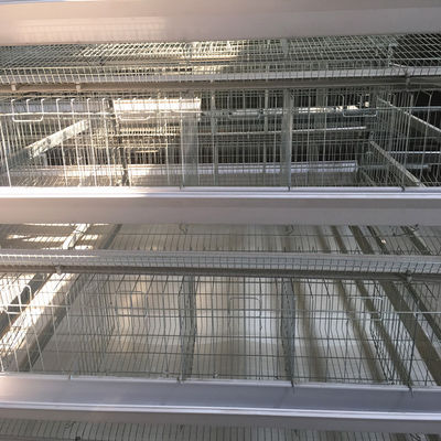 Ventilated Automated Layer Cage Setup 4 Tiers Accommodates 120 Chickens