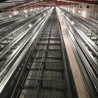 Ventilated Automated Layer Cage Setup 4 Tiers Accommodates 120 Chickens