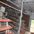 A Type 4 Tiers / Floors 128, 160 Birds Per Set Poultry Layer Cage For Laying Eggs