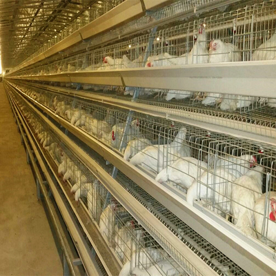 Battery Cage System For Laying Hens With Hot-dip Galvanization