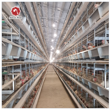 Hot-dip Galvanized Layer Hen Cage System For Poultry Farming