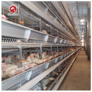 Hot-dip Galvanized Layer Hen Cage System For Poultry Farming
