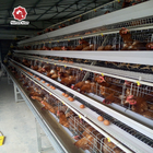 Poultry Chicken Farm Battery Chicken Cage Equipment 96 Birds / Set