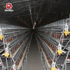 Poultry Chicken Farm Battery Chicken Cage Equipment 96 Birds / Set