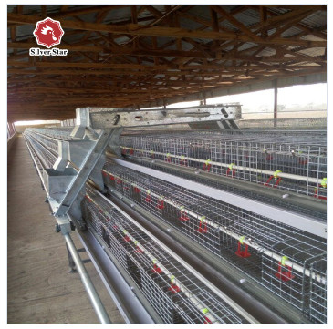 Hot-dip Galvanized Layer Hen Cage System For Poultry Farming