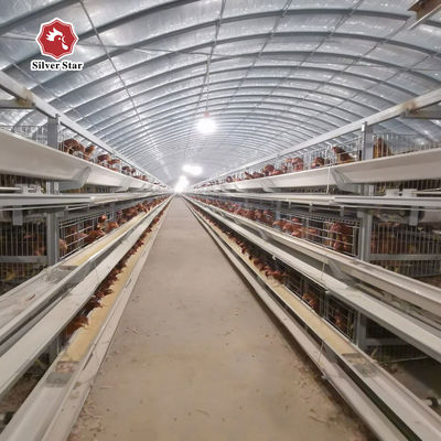 Commercial H-Type Layer Cage from Reliable Supplier & Manufacturer | Safe Delivery & Container Loading