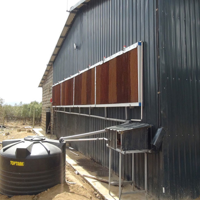 Poultry Farm Automatic Battery Egg Layer Chicken Cages Hen Layer Egg Battery Cage