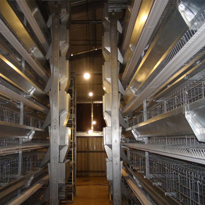 Four-tier Ventilated Automatic Layer Cage System For 120 Chickens.