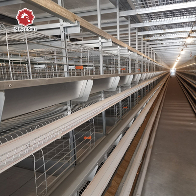 Four-tier Ventilated Automatic Layer Cage System For 120 Chickens.