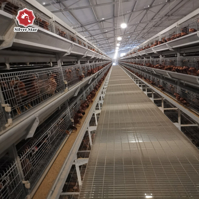3-8 Tiers Poultry Cage Battery System U type HDG Steel Material