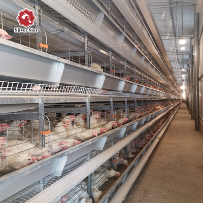 Efficient Poultry Farming: Hot Galvanized High-Density Egg Layer Chicken Cage
