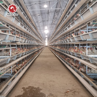 Galvanized Automatic 4 Layer Battery Poultry Chicken Cage Chicken Layer Farming Equipment For Sale