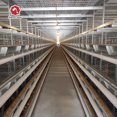 Automatic Ventilation System For Layered Chicken Cages 4 Tiers Holds 120 Birds